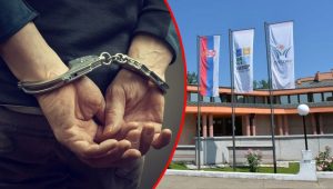 Uhapšen direktor NP “Đerdap”: Zloupotrebio položaj i izgradio sebi vikendicu u parku