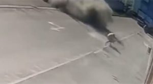 Šokantan snimak iz Harkova: Žena hoda ulicom, oko nje padaju projektili VIDEO