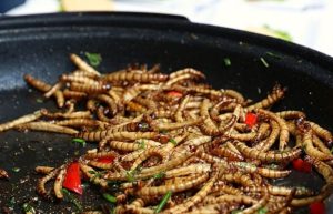 Proteini od insekata umjesto mesa smanjili bi poljoprivredno zagađenje za 80 odsto