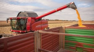 Stanje na berzi: Zabilježen rast cijena kukuruza i pšenice