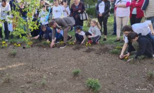 Uspješna akcija u Novoj varoši i Rosuljama: Cvijećem i ukrasnim biljem uljepšali naselja