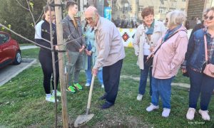 Osam stabala za 55 godina mature: Nekadašnji banjalučki gimanazijalci žele park