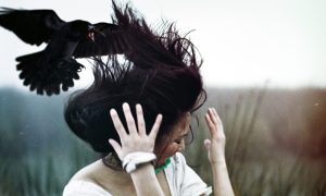 Banjalučanku napala vrana: Mislila sam da mi je cigla pala na glavu