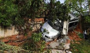 Ciklon počupao stabla i dalekovode: Bez struje oko 182.000 domaćinstava