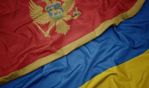 Crna Gora odlučila: Ukrajini vojna i humanitarna pomoć od 400.000 evra