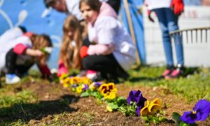 Za ljepšu Banjaluku: Planirana akcija uređenja za Kočićev vijenac i Bulevar