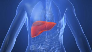 Čuvajte jetru: Jedan od najbitnijih organa u našem tijelu