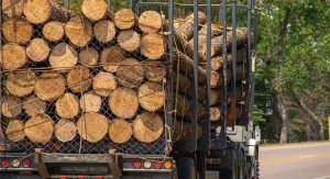 S ciljem razvoja domaće drvoprerađivačke industrije: Zabraniti izvoz drvnih sortimenata i energenata iz BiH
