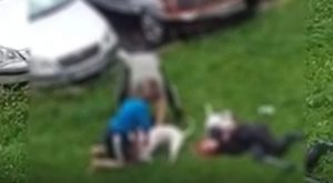 Uznemirujući sadržaj: Bul terijeri napali i izgrizli ženu i njenog psa VIDEO