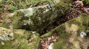 U blizini lokalnog puta: Pronađene tri protivtenkovske mine na Manjači