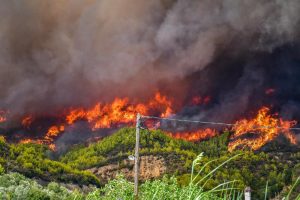 Veliki šumski požar: Vatra ugrožava kuće i bandere u predgrađima Atine