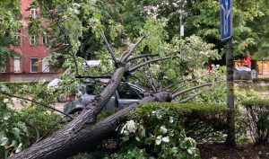 Vremenske nepogode u Banjaluci: Drvo palo na automobil u vožnji