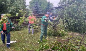 Nevrijeme protutnjalo Banjalukom: Ekipe na terenu, uklanjaju oštećena stabla