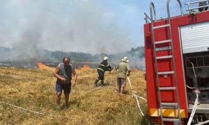 Incident tokom žetve žitarica: Iskra iz kombajna zapalila njivu VIDEO