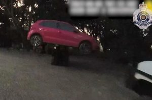 Neobičan potez: Vlasnik pomoću viljuškara spriječio krađu automobila