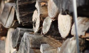 Vanredna sjednica Savjeta ministara: Sutra o privremenoj zabrani izvoza drvnih sortimenata