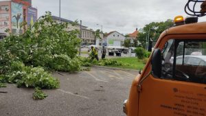 Oštećeno više stabala: Sanirane posljedice olujnog nevremena koje je noćas pogodilo Banjaluku FOTO