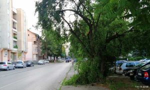 Haos u banjalučkoj ulici: Pješaci postali “ugrožena vrsta” FOTO