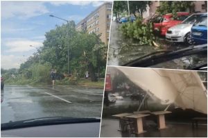 Snažno nevrijeme pogodilo Novi Sad: Vjetar lomio stabla VIDEO