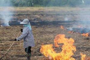 Palio rastinje i granje: Starac povrijeđen u požaru kod Banjaluke