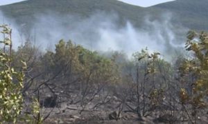 Vatrogasci na terenu: Vjetar ponovo aktivirao požar kod Trebinja