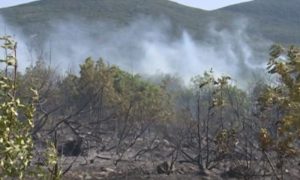 Situacija u Neumu složena: Požar prijeti dalekovodu