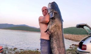 Kakav ulov Trebinjaca: Uhvatili soma teškog oko 50 kilograma FOTO
