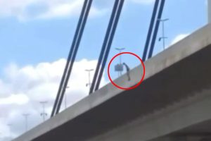 Zamalo nastradao: Momak se popeo na Most slobode, pa skočio sa 20 metara VIDEO