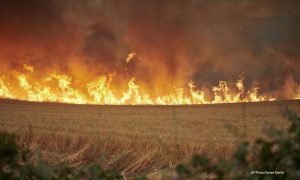 Vatrogasci se peti dan bore sa šumskim požarom: Na Rodosu evakuisano 300 ljudi