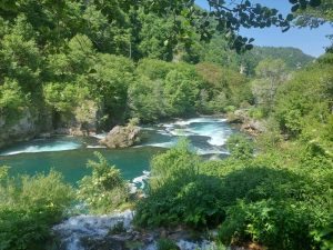 Svjetski dan životne sredine u BiH: Čuvanje prirode je dužnost svakog od nas