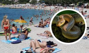 Ženu ugrizla zmija na plaži: Samo sam odjednom osjetila jak bol
