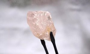 Spreman za prodaju: U Angoli iskopan ružičasti dijamant od 170 karata