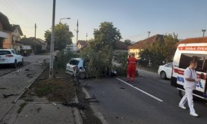 Drvo smrskalo automobil: U nezgodi u Banjaluci dvoje povrijeđenih FOTO