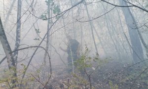 Vatra na granici BiH i Crne Gore: Udar groma izazvao veliki požar FOTO