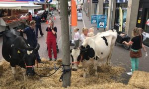 Holandski premijer bijesan: Pozvao farmere da prekinu proteste