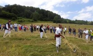 Počeli Dani kosidbe na Balkani: Cilj promocija i očuvanje tradicije i kulture