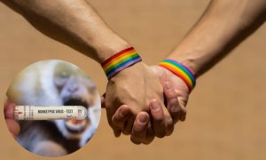Najbrže se šire među homoseksualcima: U Srbiji deset slučajeva majmunskih boginja