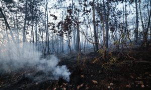 Kiša donijela spas: Nakon 12 dana borbe ugašen požar na Čvrsnici