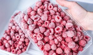 Neprodato voća iz prošle berbe: Hladnjače u regionu pune neprodatih malina