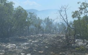 Vatrogasci na terenu: I dalje aktivan požar u Gornjim Davidovićima