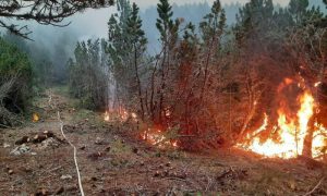 Vatrogasci pod velikim naporima: Požar na Čvrsnici se i dalje širi