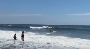 Nevjerovatan snimak: Ogromna ajkula iskače iz mora na samo par metara od djece VIDEO