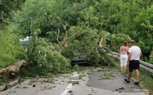 Nesreća na putu: Snažan vjetar oborio drveće na automobil u pokretu