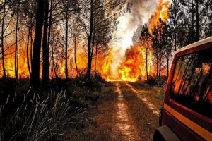Temperatura obara rekorde: Vatrogasci se bore sa požarima u više država