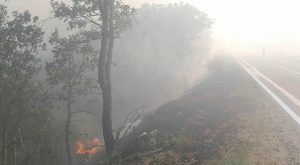 U gašenju vatre pomažu i mještani: Vatrogasci uspjeli da odbiju požar od kuća u selu Korita