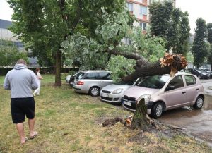 Apokaliptične scene iz Leskovca i Kragujevca: Nevreme čupalo drveće i krovove VIDEO / FOTO