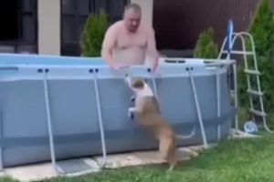 Pas pokušava da uđe u bazen, ali vlasnik ne dozvoljava: Upornost se isplatila VIDEO