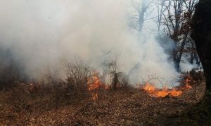 Nema odmora za vatrogasce: Požar na Čvrsnici i dalje se širi