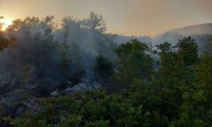 Stambeni objekti nisu ugroženi: Požar u selu Duži kod Trebinja