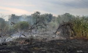 Požar u Banjaluci pod kontrolom: Kiša stigla u pravo vrijeme FOTO